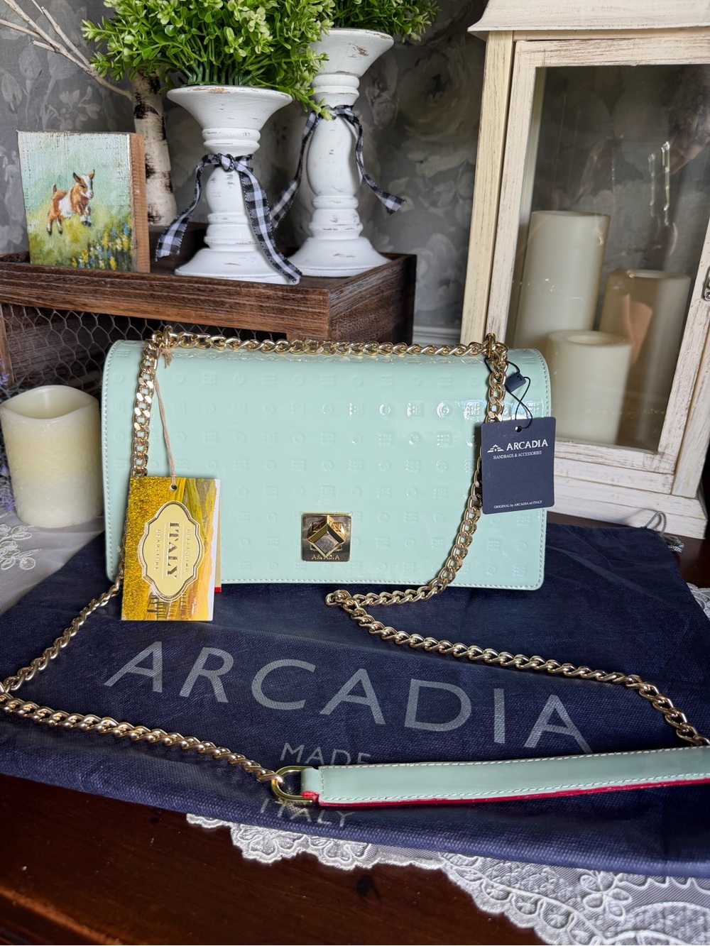 NWT Arcadia Mint Green Patent Leather Gold Chain Shoulder Bag Crossbody Purse